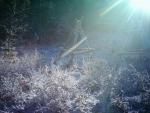imag0145_1024x768_t1.jpg